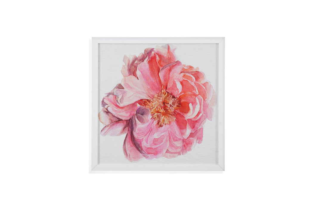 Blossomed Peony - Framed Print Sets - Pink