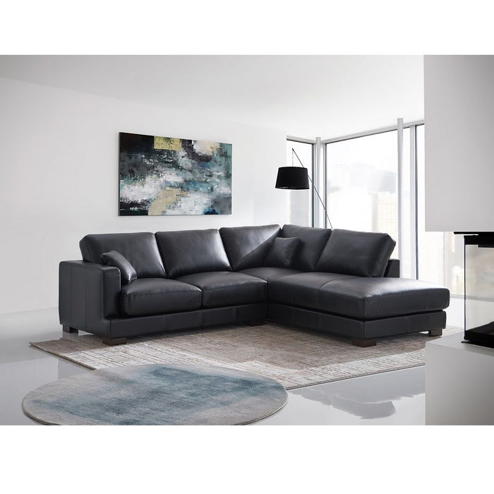 Geralyn - Sectional Sofa With 2 Pillows - Black