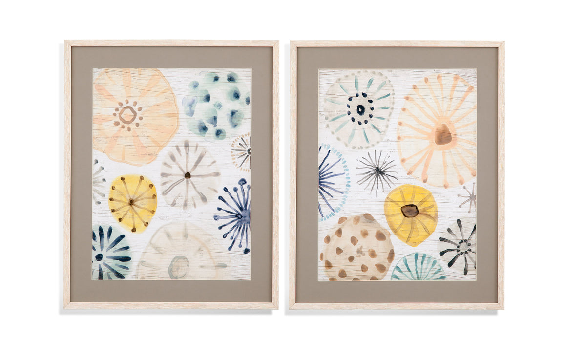 Ocean Urchins II - Framed Print - White