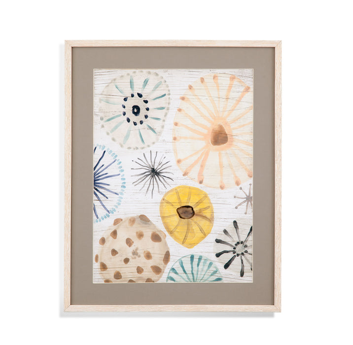 Ocean Urchins II - Framed Print - White